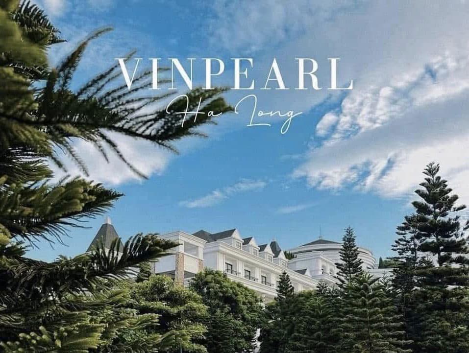 Giá Phòng Vinpearl Hạ Long 2025: Những Lựa Chọn Tốt Nhất Cho Kỳ Nghỉ Lý Tưởng
