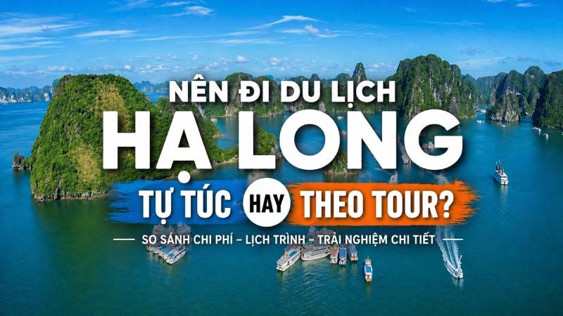 Du lịch Hạ Long tự túc hay đi tour: Cách nào lợi hơn?